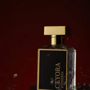 CEYORA — The Strength in Silence